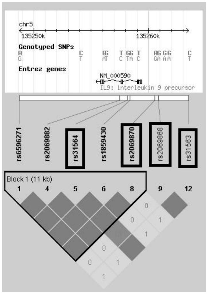 IL9基因中与血脂相关的SNP位点及其应用