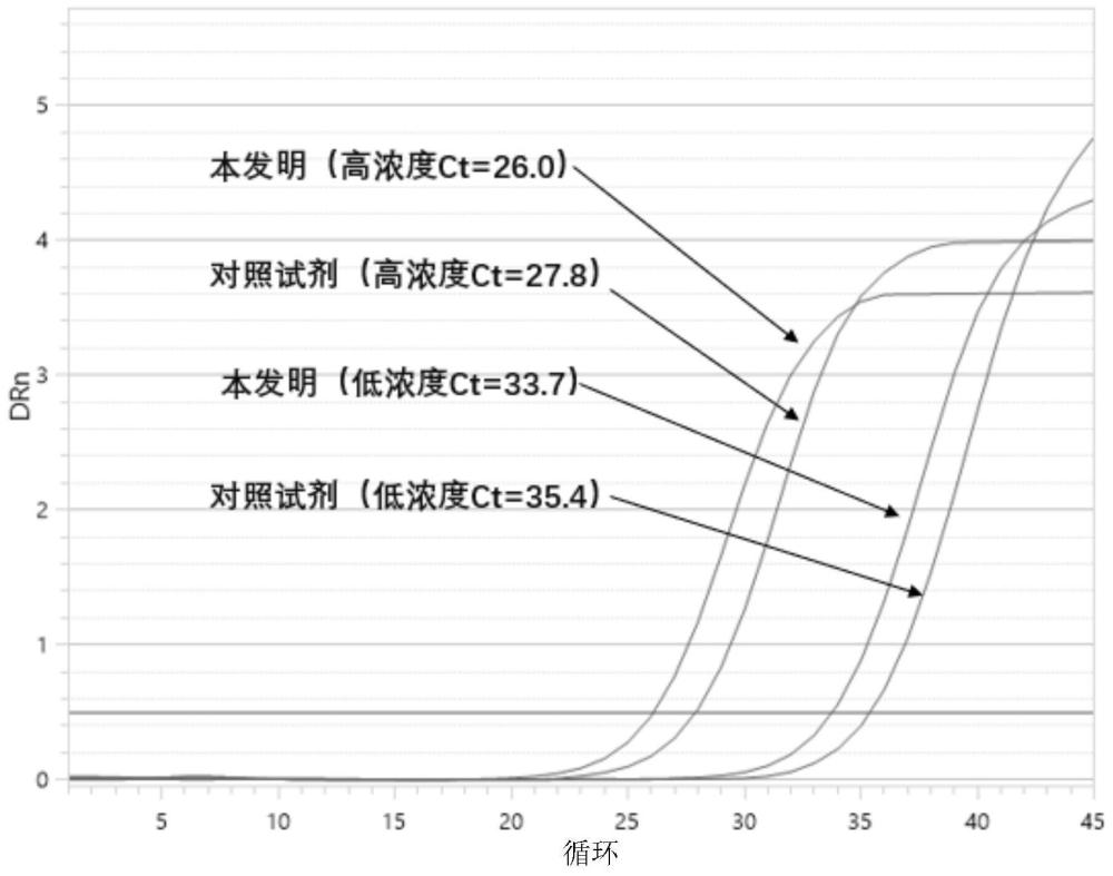 真菌DNA提取用裂解结合液、试剂盒和提取方法及其应用与流程