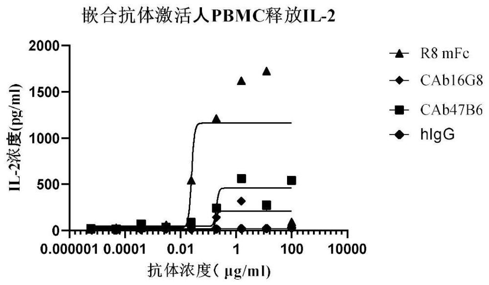 抗CD28抗体及其应用的制作方法