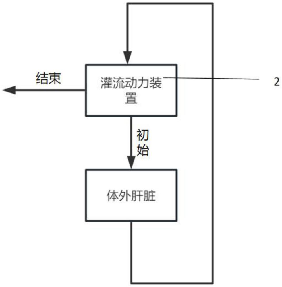 一种修复体外待修复移植肝脏的系统的制作方法