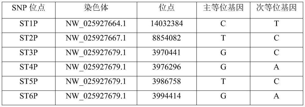 一种用于鉴定狮头鹅品种的SNP位点组合及其鉴定方法与流程