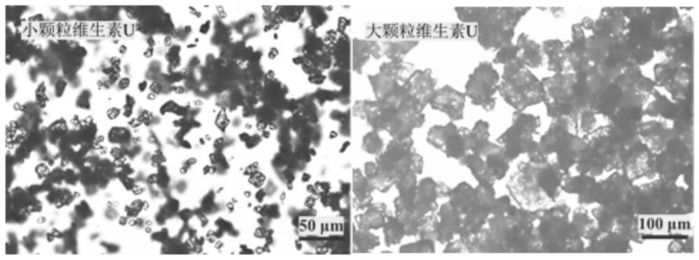 基于错流过滤的可控粒径医药级维生素U生产方法与流程