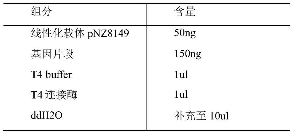 用于产肠毒素大肠杆菌K99菌毛型的乳酸乳球菌载体口服疫苗及应用