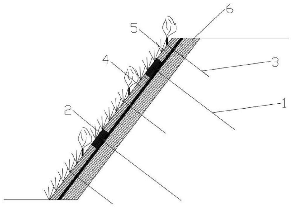 一种适用于土质坡面的BBS生态防护系统及其施工方法