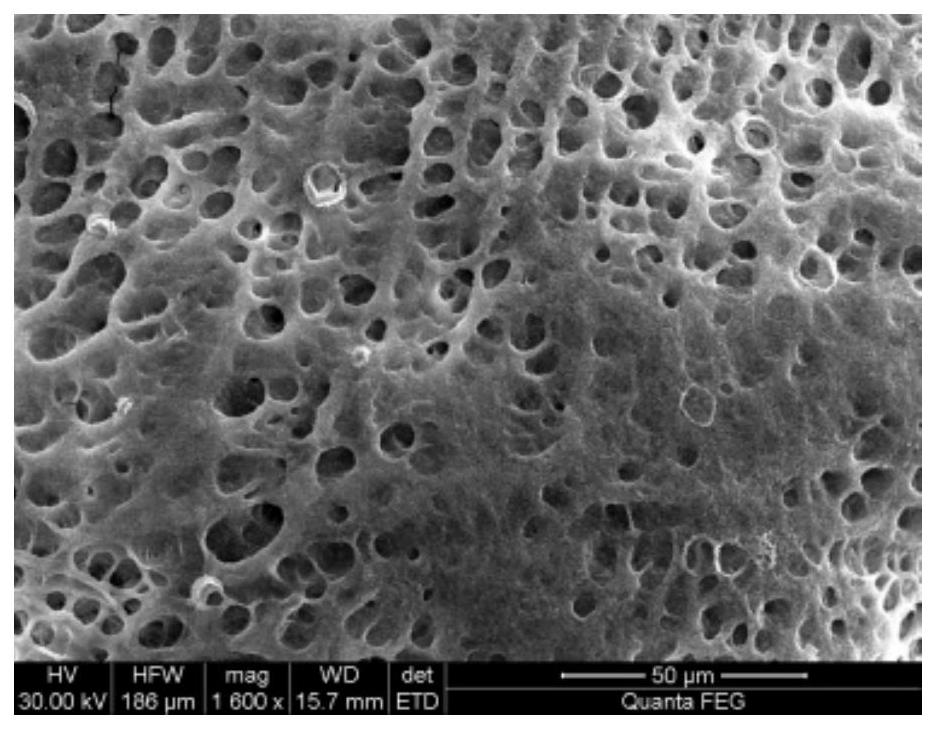 一种改性纳米二氧化硅-氧化石墨烯双颗粒复合水凝胶及其制备方法和应用