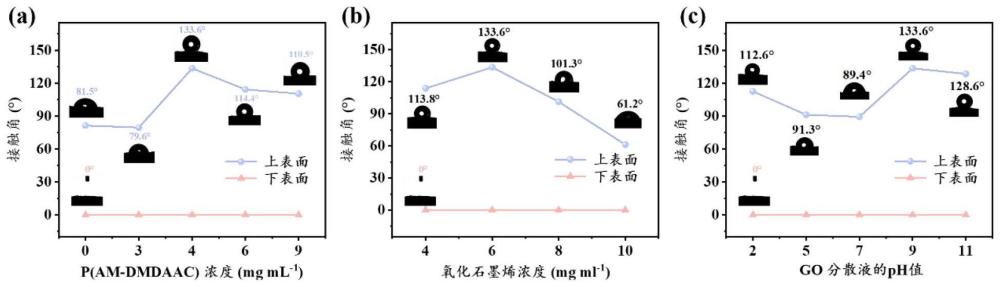 一种高耐盐P(AM-DMDAAC)/石墨烯基大孔Janus气凝胶及其制备方法与应用