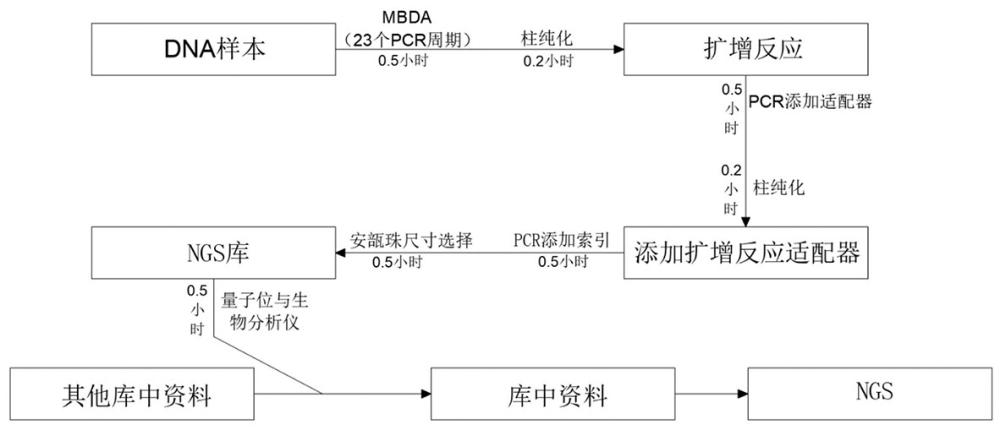 用于动态监测ctDNA的检测方法及其应用与流程