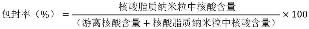 纳米核酸农药、其制备方法和应用、以及核酸递送系统与流程