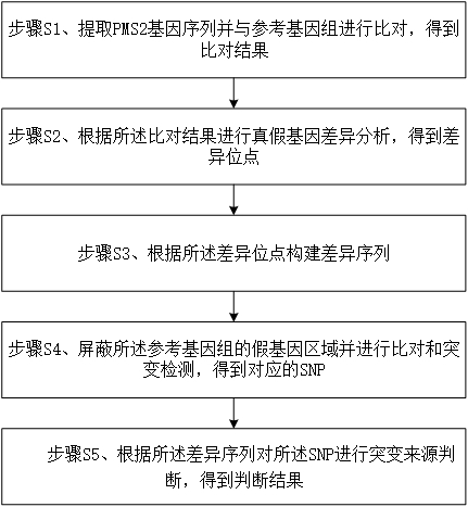 一种SNP突变来源的区分方法、系统及装置与流程