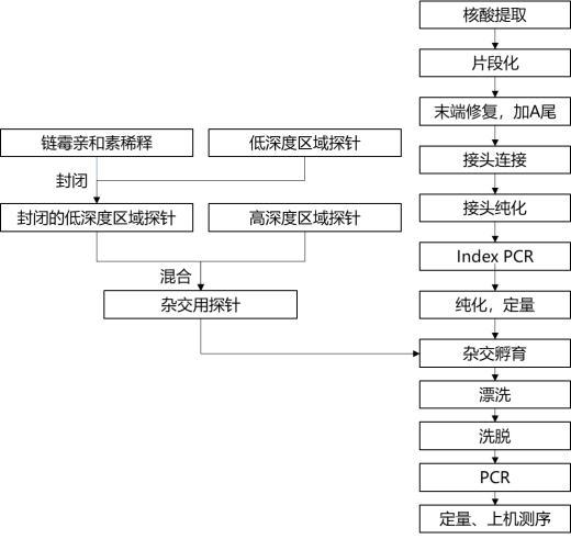 一种捕获区域不等深的二代测序方法与流程