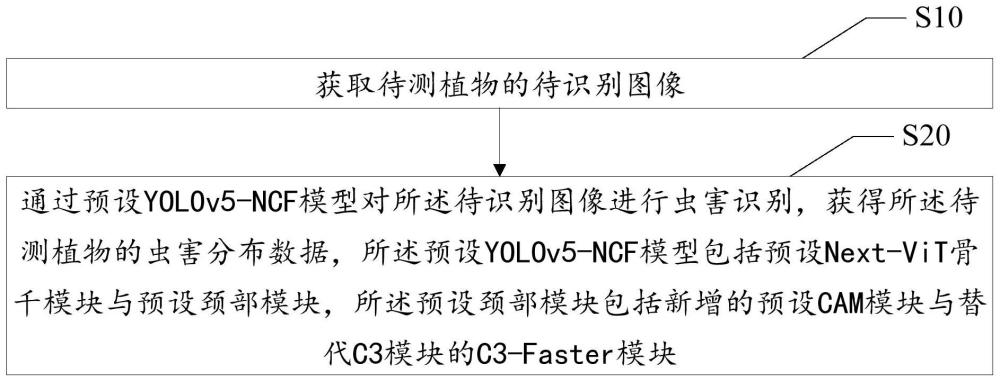 虫害识别方法、装置、设备及存储介质