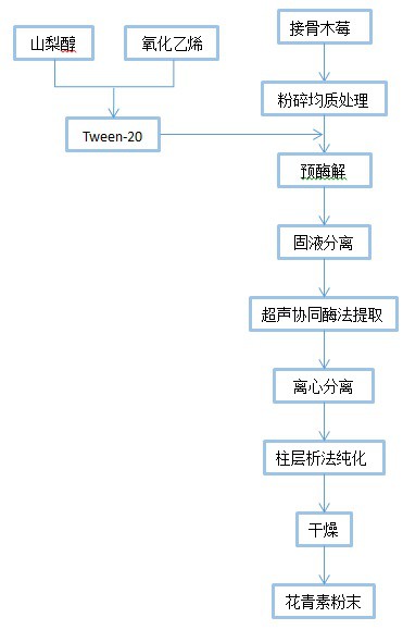 一种从接骨木莓中分离花青素的制备方法与流程