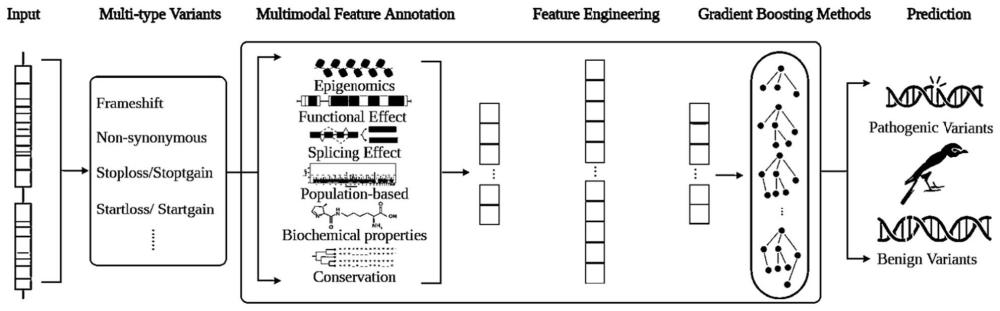 多模式注释生成的基因突变预测方法与流程