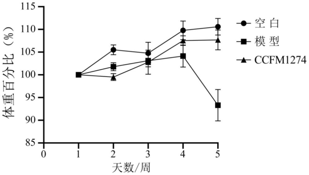 一株高产吲哚3甲醛以缓解卵清蛋白引起的呼吸道过敏的动物双歧杆菌乳亚种