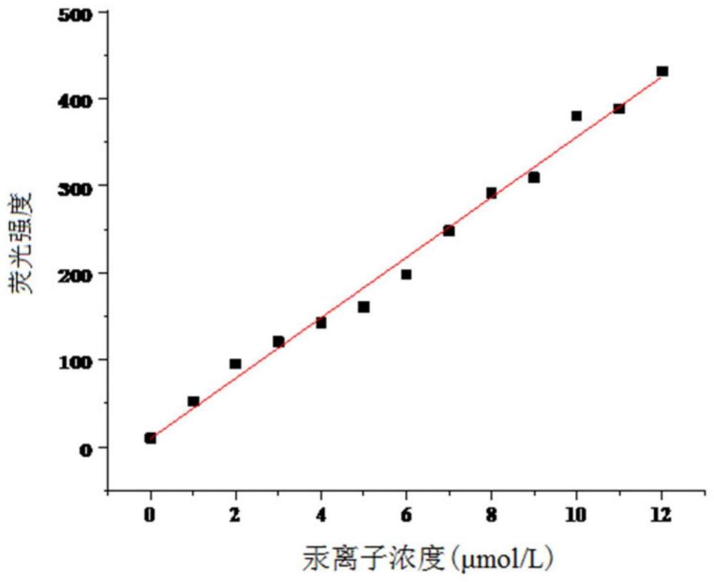 一种用于检测汞离子的荧光探针及其制备方法和应用与流程