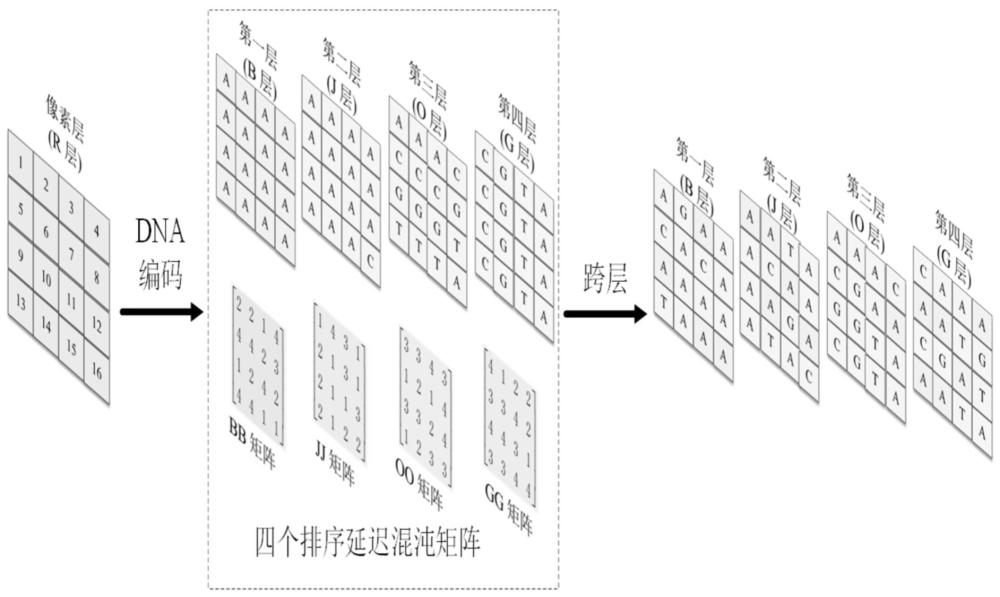 一种基于灰度图像与延迟混沌的DNA码元跨层置乱方法