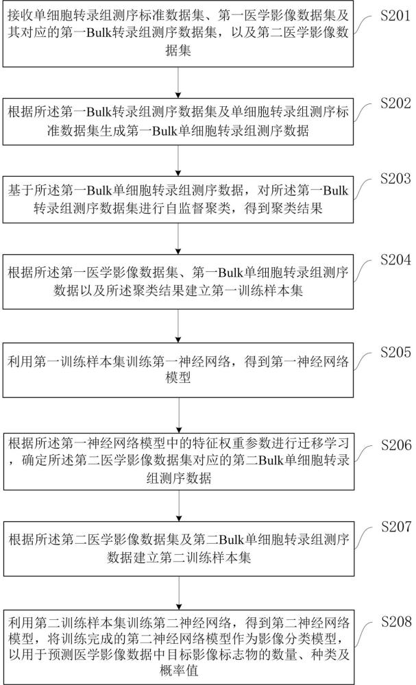 影像分类模型建立方法及装置、分类方法、装置及系统