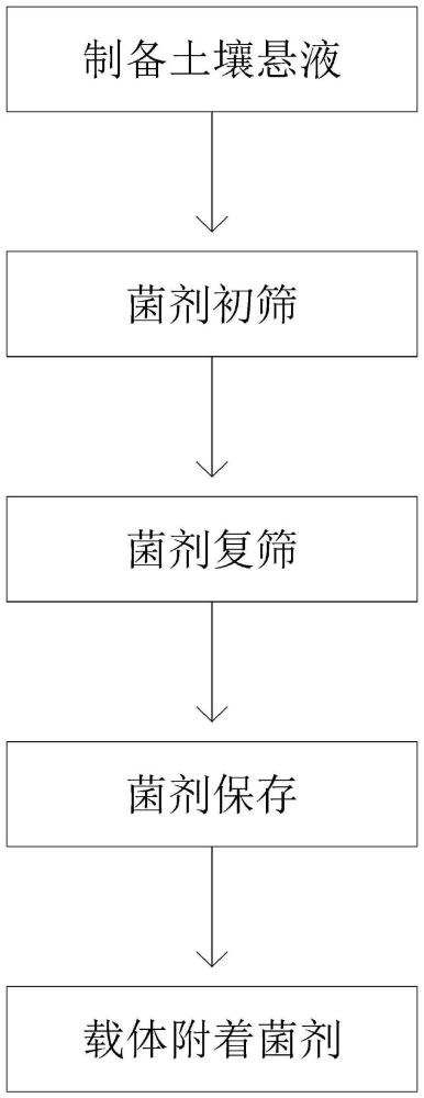 一种用于水土保持土壤微生物修复剂制备方法