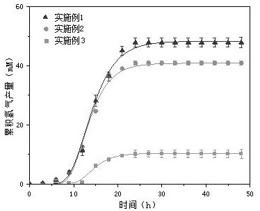 一种利用木材生物炭提高污泥混合菌源中梭菌发酵产氢的方法与流程