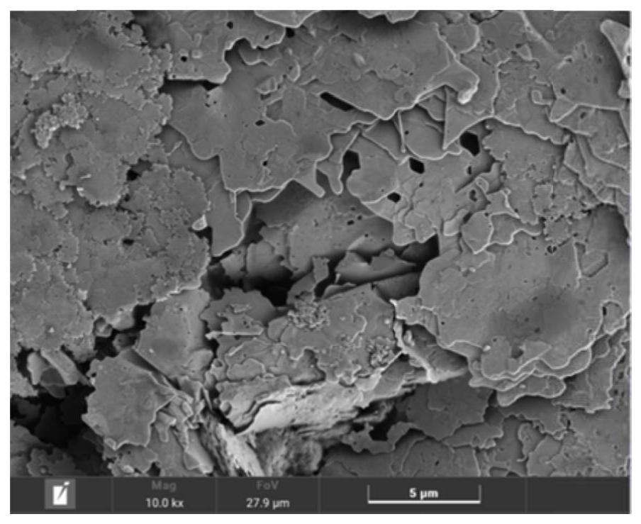 片状银的制备方法、片状银和应用与流程