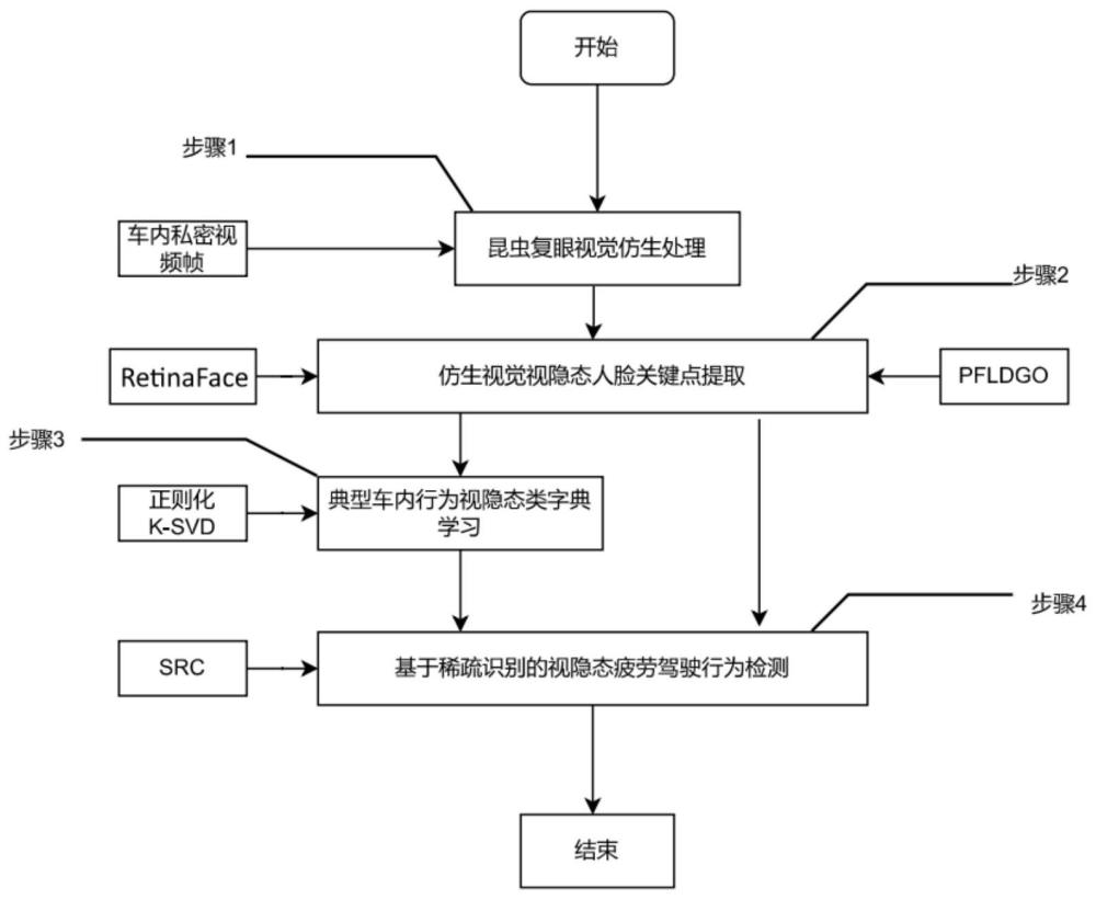 面向车内私密视频监控的昆虫视觉仿生疲劳驾驶检测方法