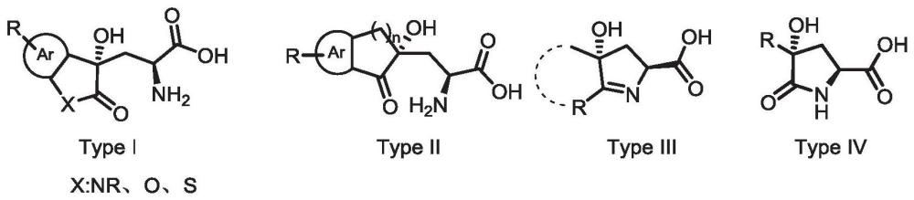 一种合成γ-叔醇-(S)-α-氨基酸的酶催化方法