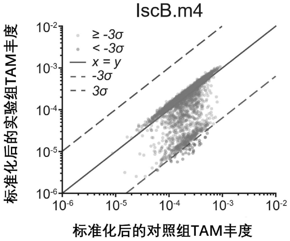 IscB多肽、包含其的系统及其用途的制作方法