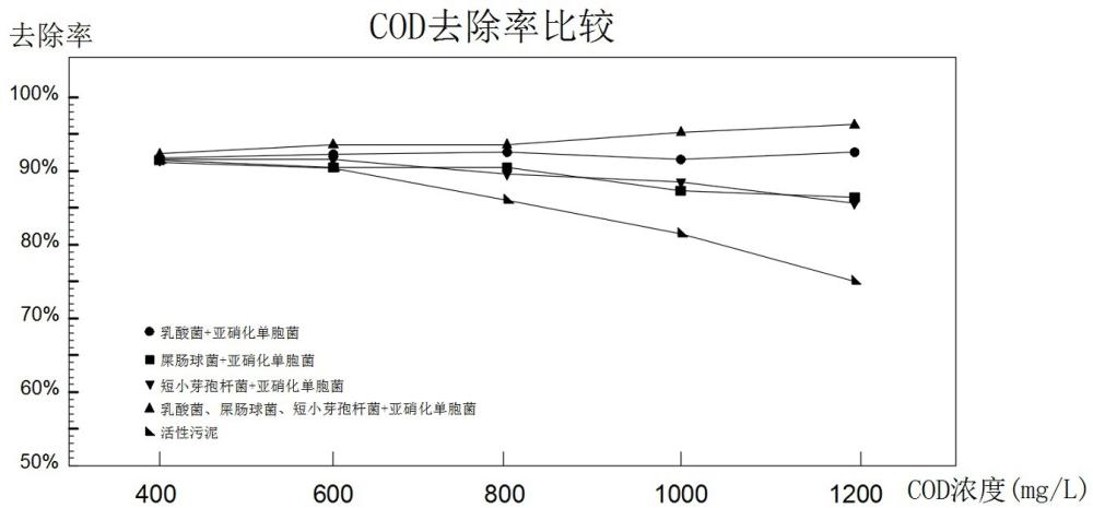 化粪池后高浓度生活污水处理菌剂及其制备方法与流程