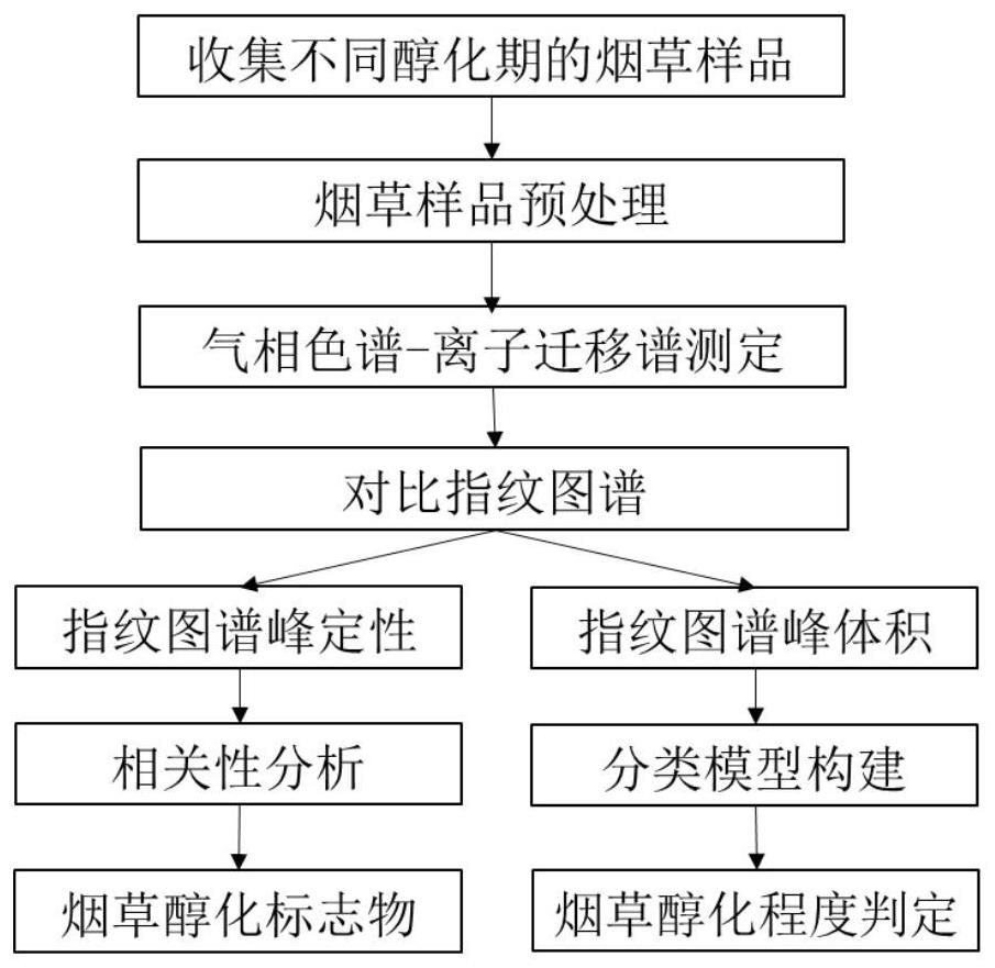 一种烟草醇化特征挥发性物质检测及醇化程度判别方法与流程