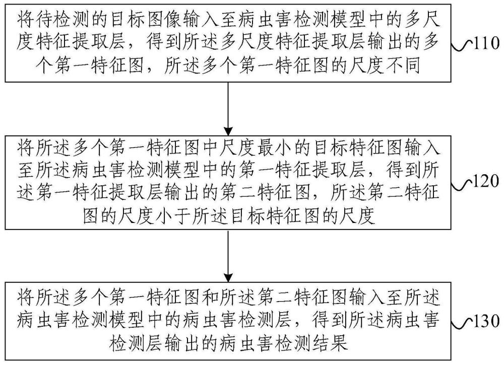 苹果病虫害检测方法、装置、电子设备和存储介质与流程