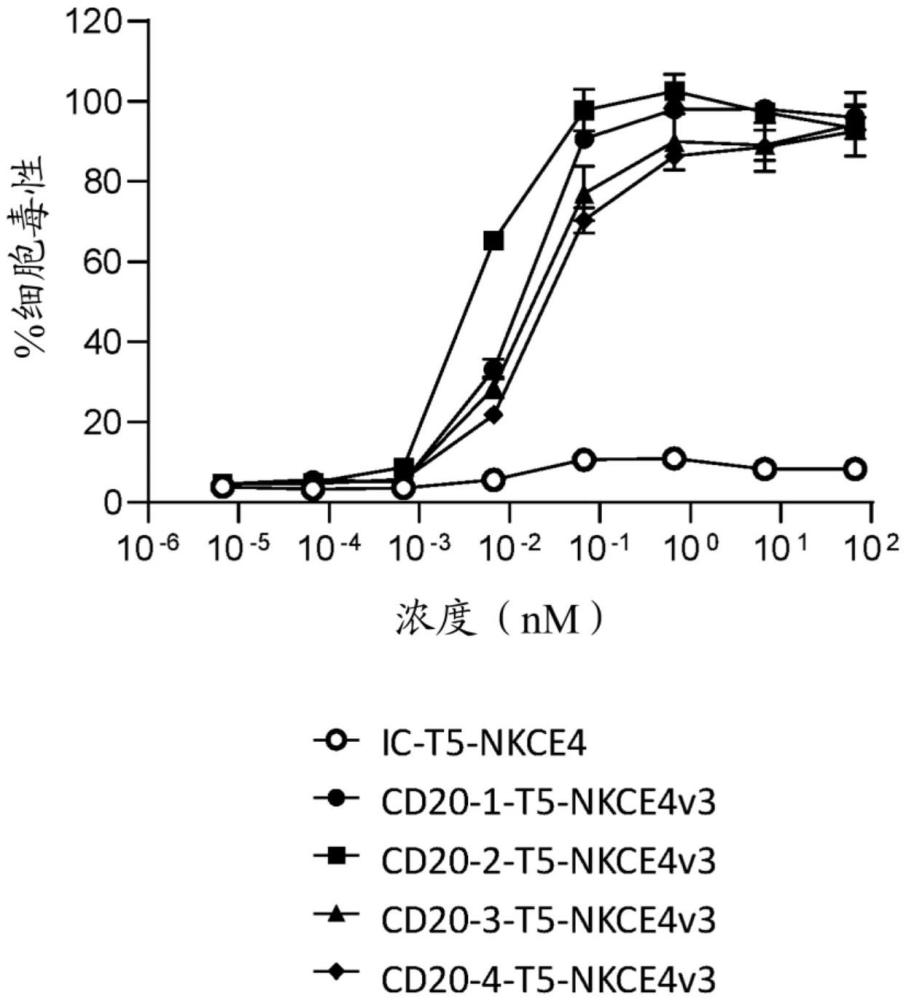 结合至CD20、NKP46、CD16并缀合至IL-2的多特异性抗体的制作方法