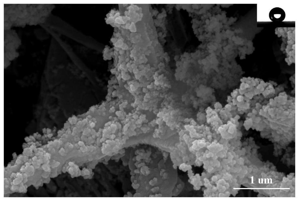 一种多功能砖石质文物纳米复合防风化加固材料及其制备方法