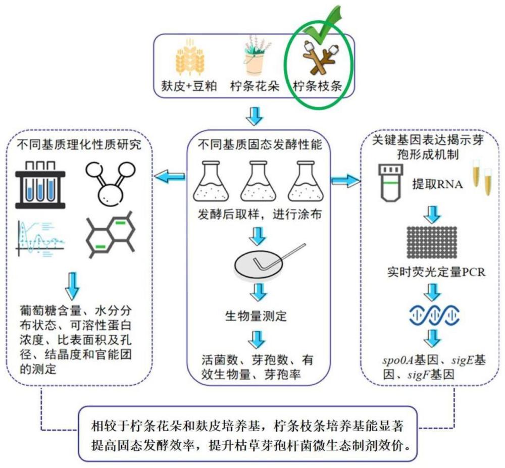 一种制备高效价微生态制剂的方法、高效价微生态制剂及应用