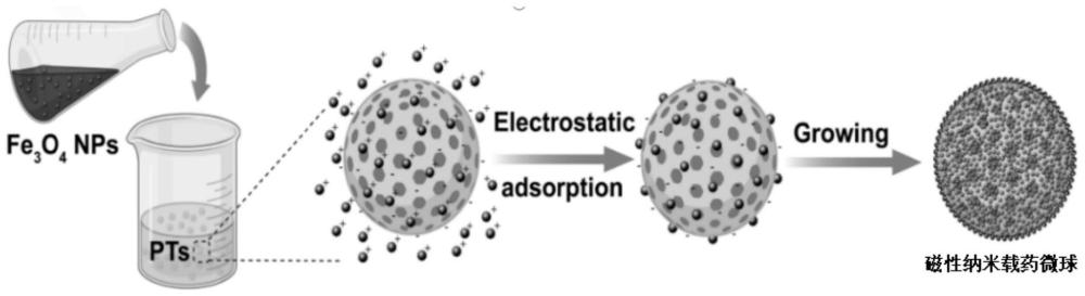 一种磁性纳米载药微球及其制备方法与应用与流程