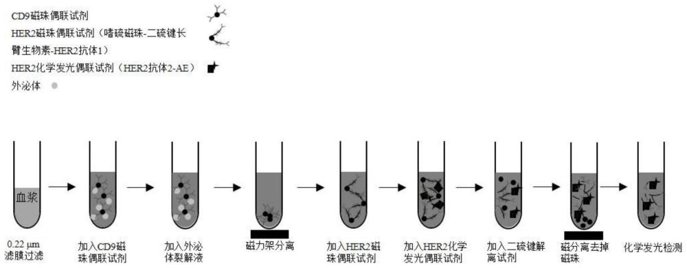 一种检测外泌体蛋白的方法及检测试剂盒与流程