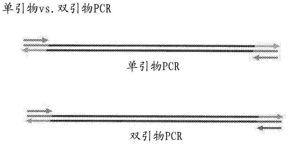 单引物至双引物扩增子转换的制作方法