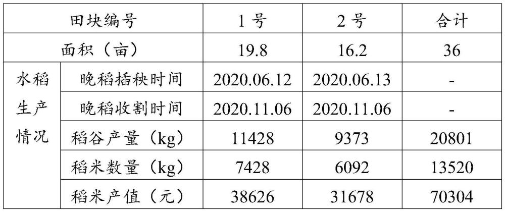 一种克氏原螯虾稻田种繁养一体化模式的制作方法