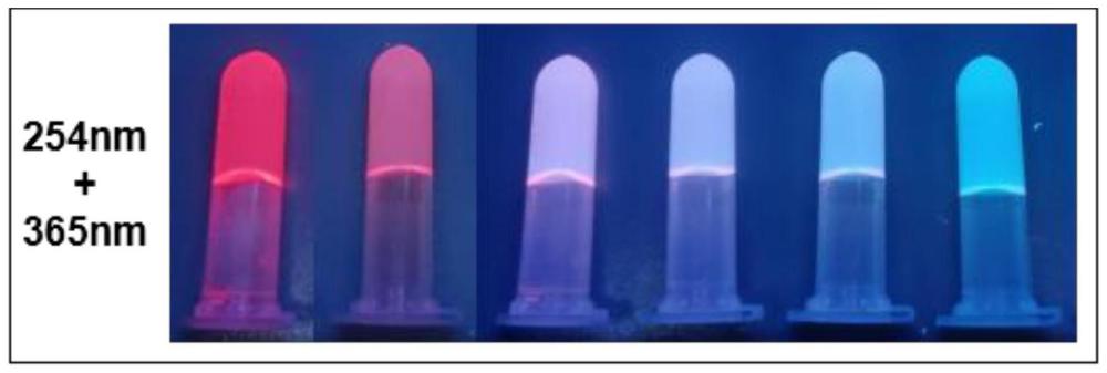多色可调的响应型凝胶荧光材料及其制备方法、使用方法和调控方法和应用