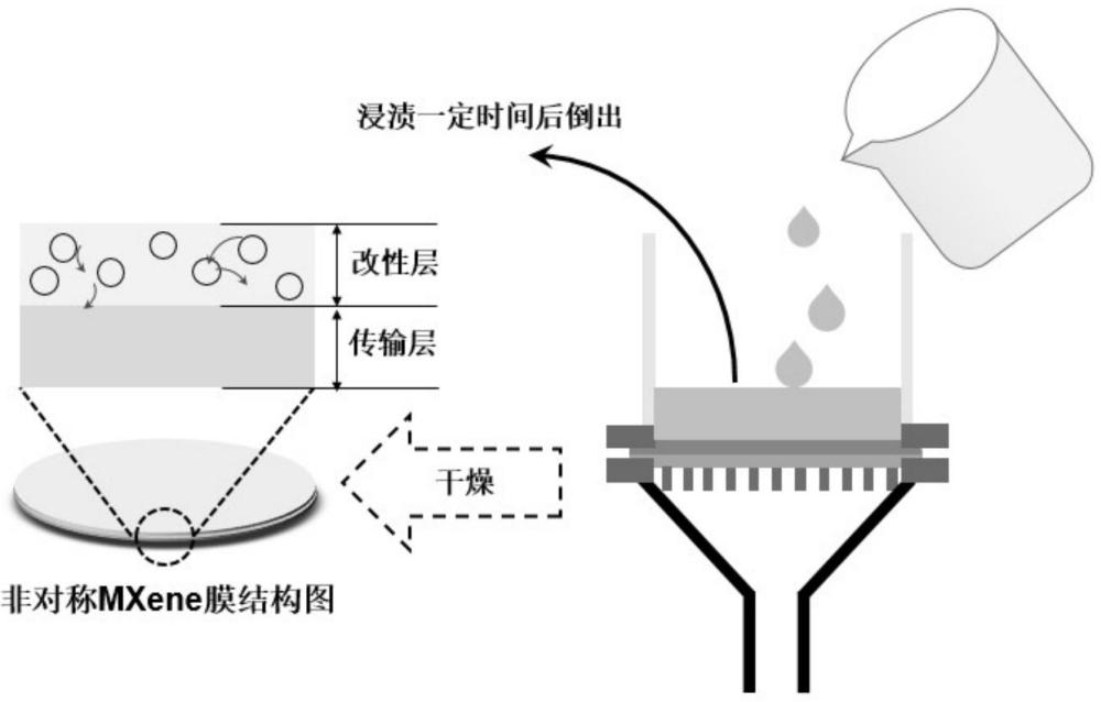 一种非对称MXene膜在离子选择性分离中的应用