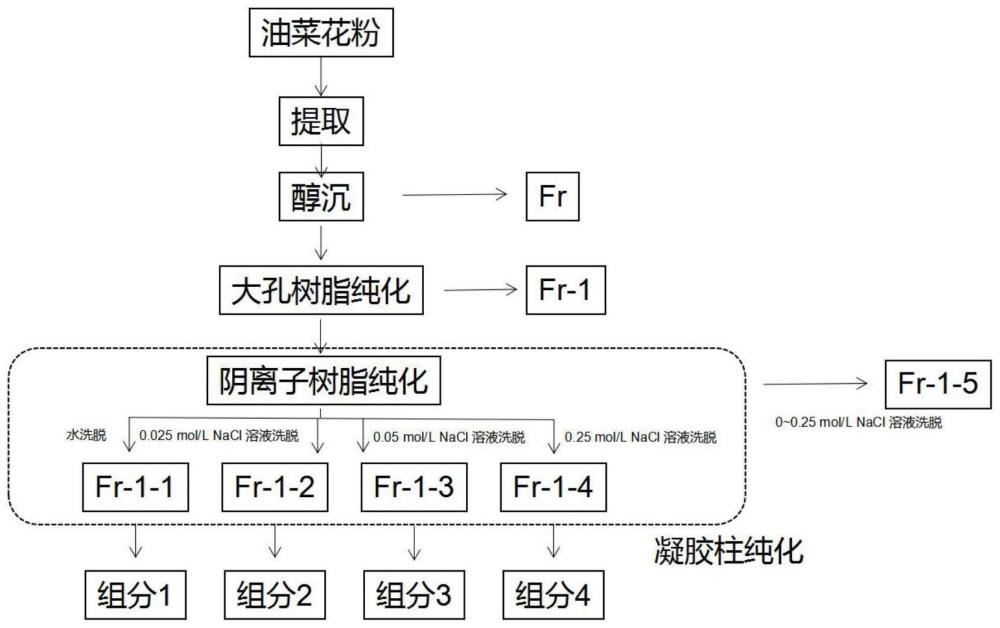 一种花粉多糖组分1及其分离方法和应用与流程