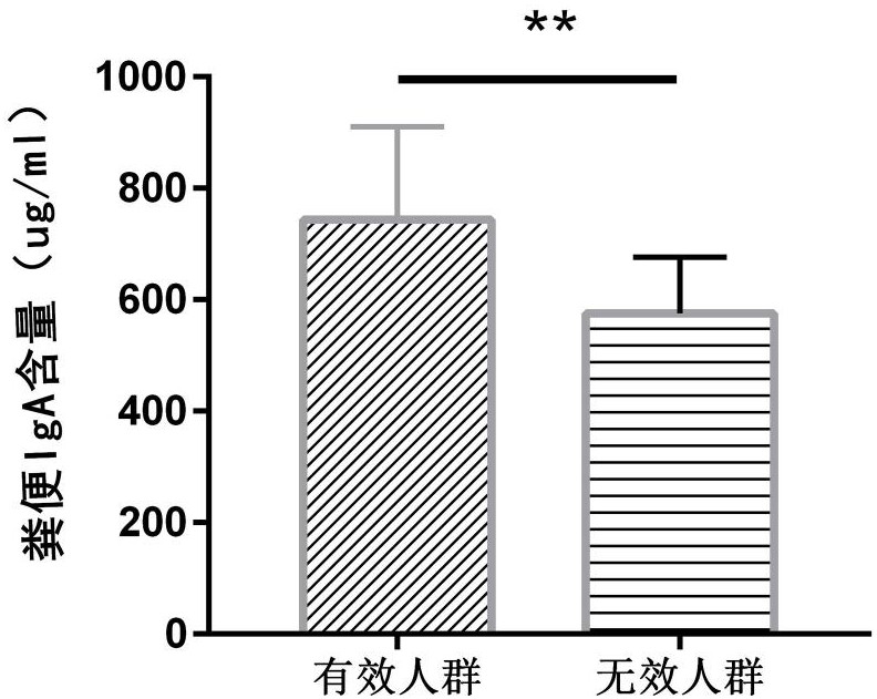 用免疫球蛋白A评价二甲双胍药效的方法