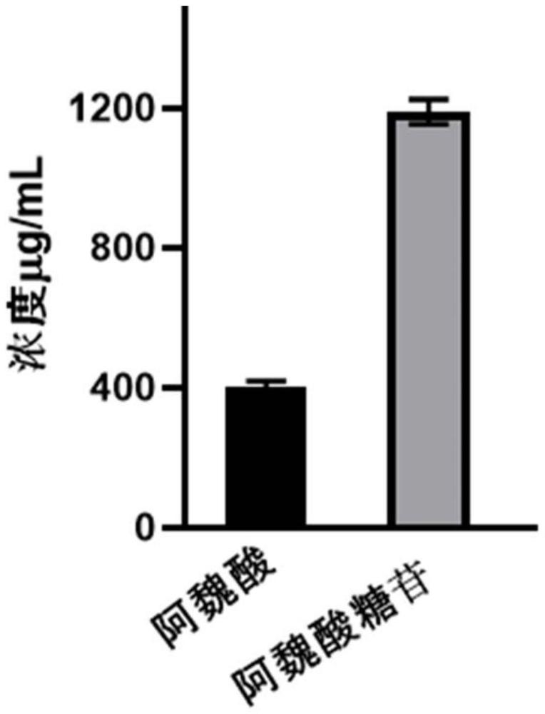 阿魏酸葡萄糖苷及其制备方法与用途与流程