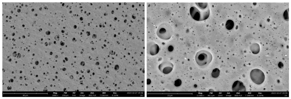 PES膜改性方法、PES膜及在去除内毒素中应用与流程