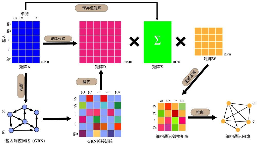 一种基于单细胞数据的细胞通讯预测方法与流程