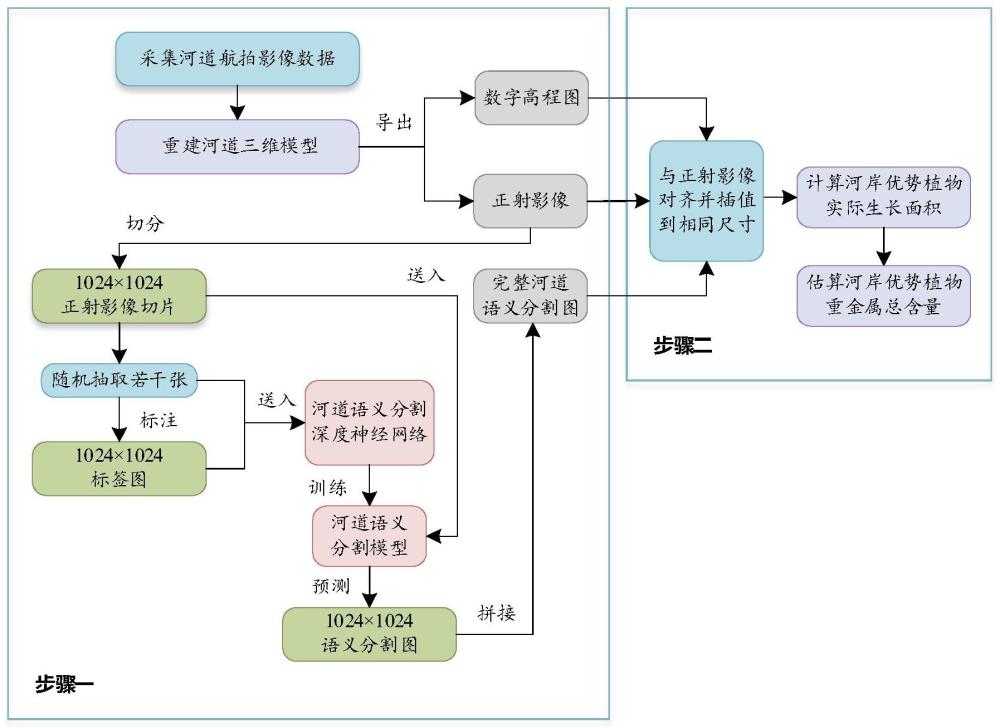 基于航拍影像的河岸优势植物重金属总含量计算方法