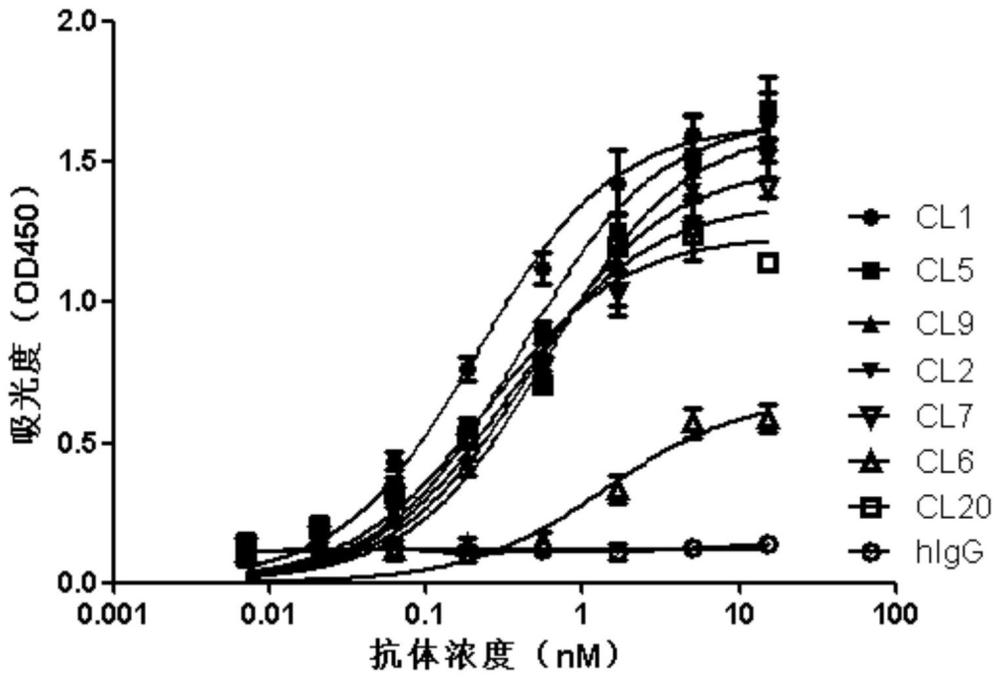 结合PD-1的抗体的制作方法