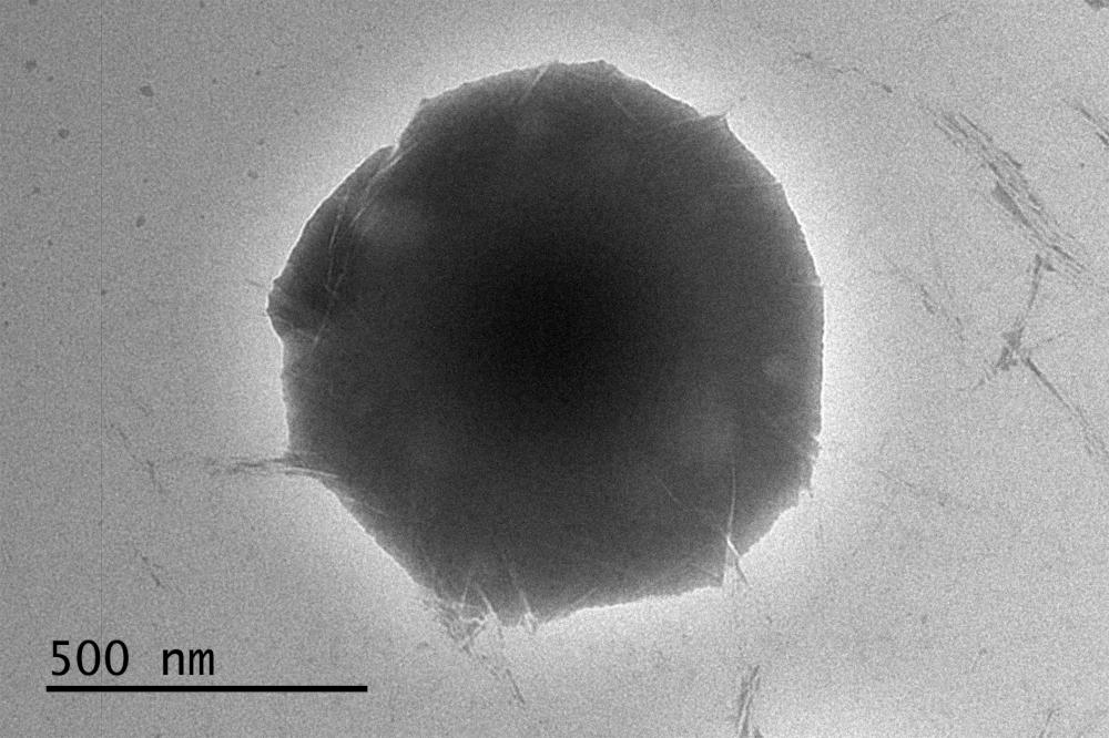 一种米诺地尔低共熔溶剂基皮克林乳液凝胶及其制备方法