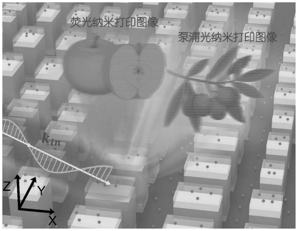 可实现光致荧光与泵浦光复用显示的超构表面及设计方法