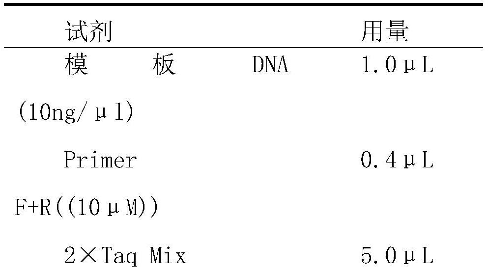 一种鉴定花生野生种的特异性分子标记引物组及其应用的制作方法