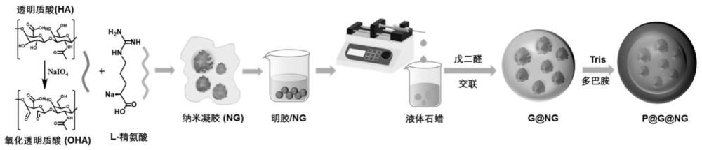 一种多级气体递送微胶囊材料及其制备方法和应用